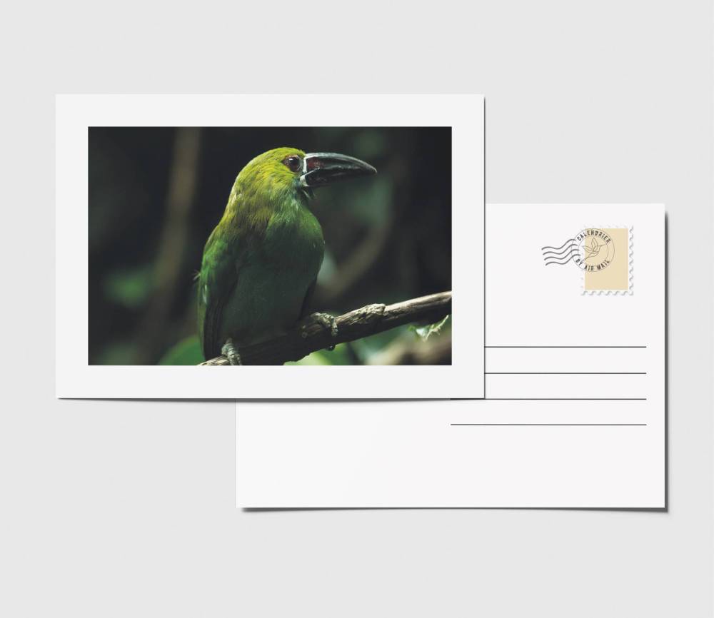 carte postale